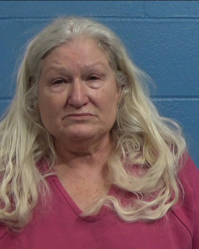 Counts, Tina arrested in Williamson County, Texas mugshot