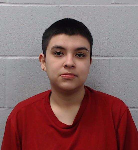 Mendoza, Serena Alexandrea arrested by Hays County SO/PD