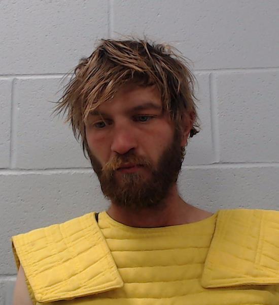 Taylor, Andrew Paul arrested by Hays County SO/PD