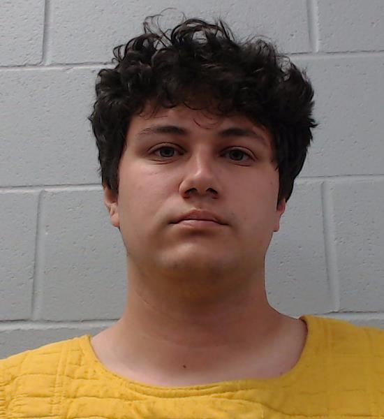 McKinney, Ryan booking photo