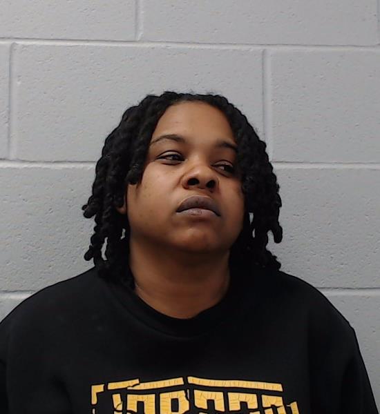 Brooks, Katy Yvette arrested by Hays County SO/PD