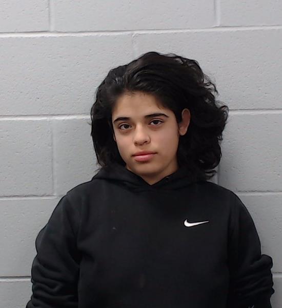 Cerna, Sebrina Lina arrested by Hays County SO/PD