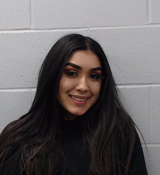 Perez, Brianna Joy arrested by Hays County SO/PD