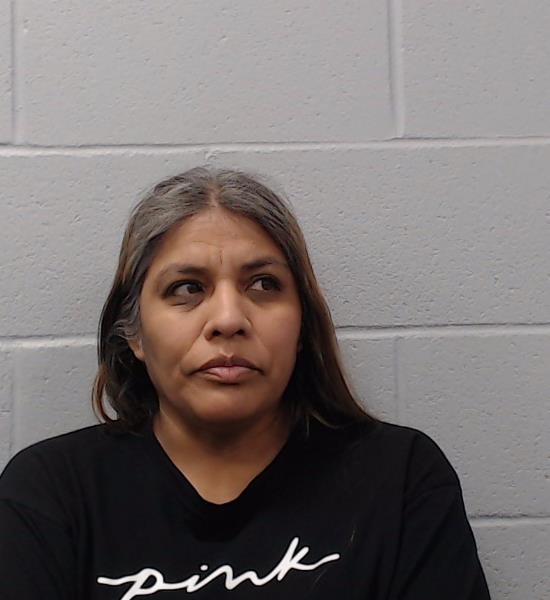 Mireles, Elsa arrested by Hays County SO/PD