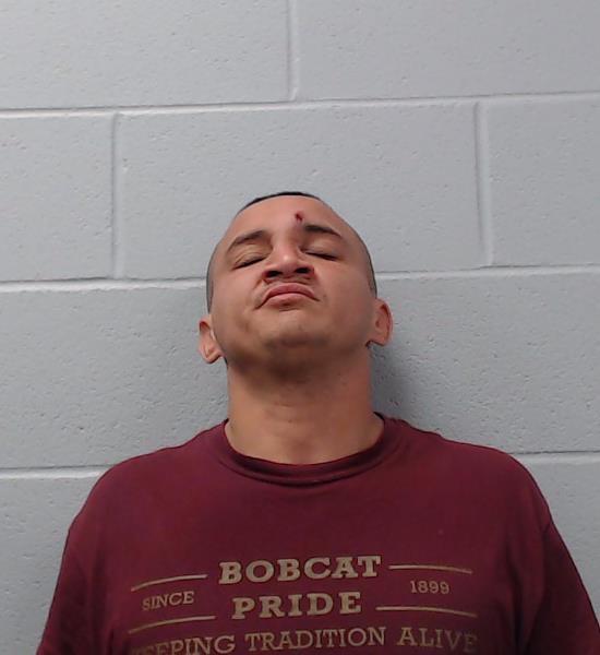 Flores, Michael Brooks booking photo
