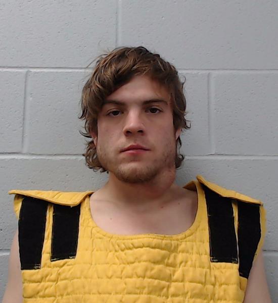 Henry, Robert Paul arrested by Hays County SO/PD