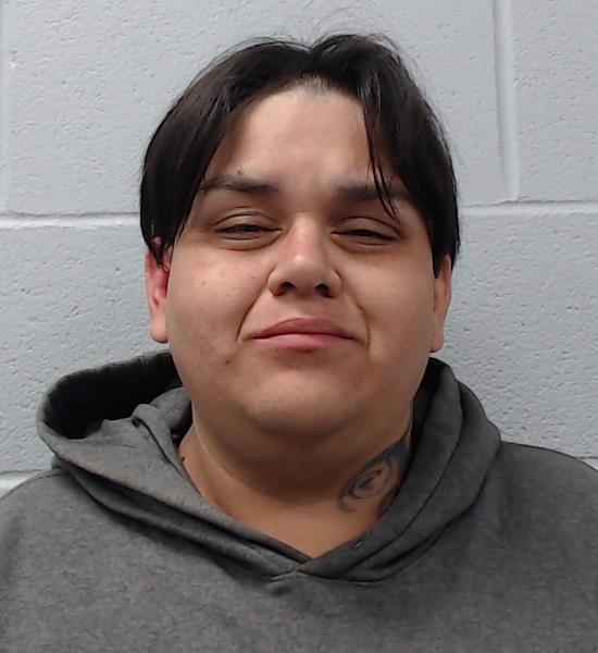 Trevino, Erica Marie arrested by Hays County SO/PD