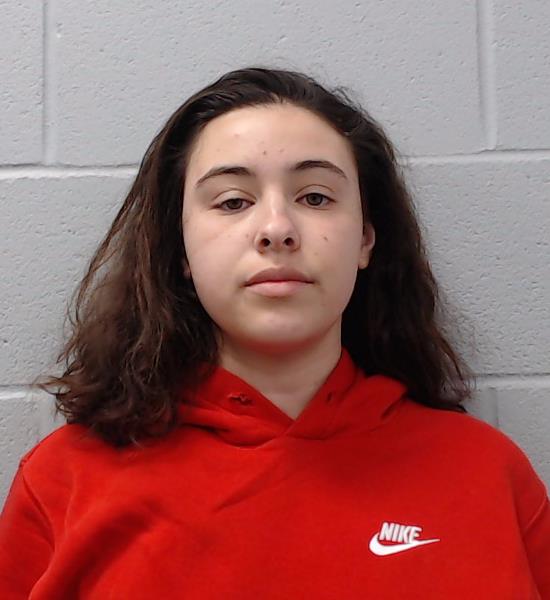 Blake, Brianna Joan arrested by Hays County SO/PD