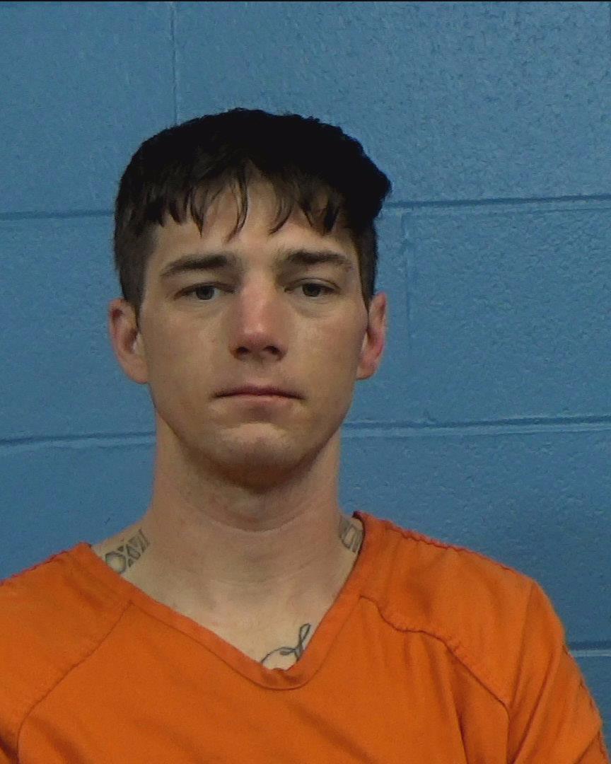 Brown, William Lee booking photo