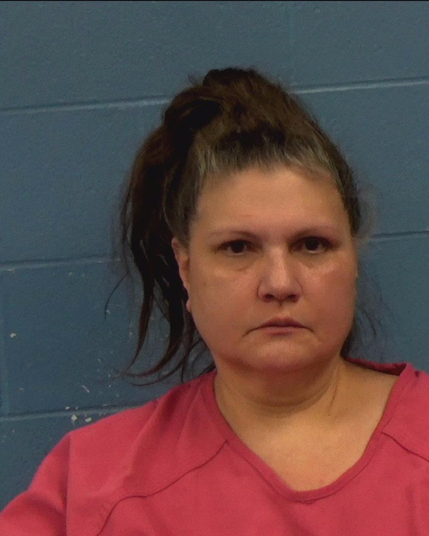 Hodgens, Terri Ann booking photo