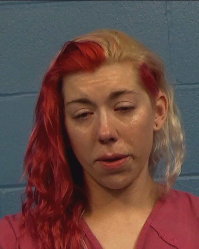 Johnson, Taylor Breanne arrested in Williamson County, Texas mugshot