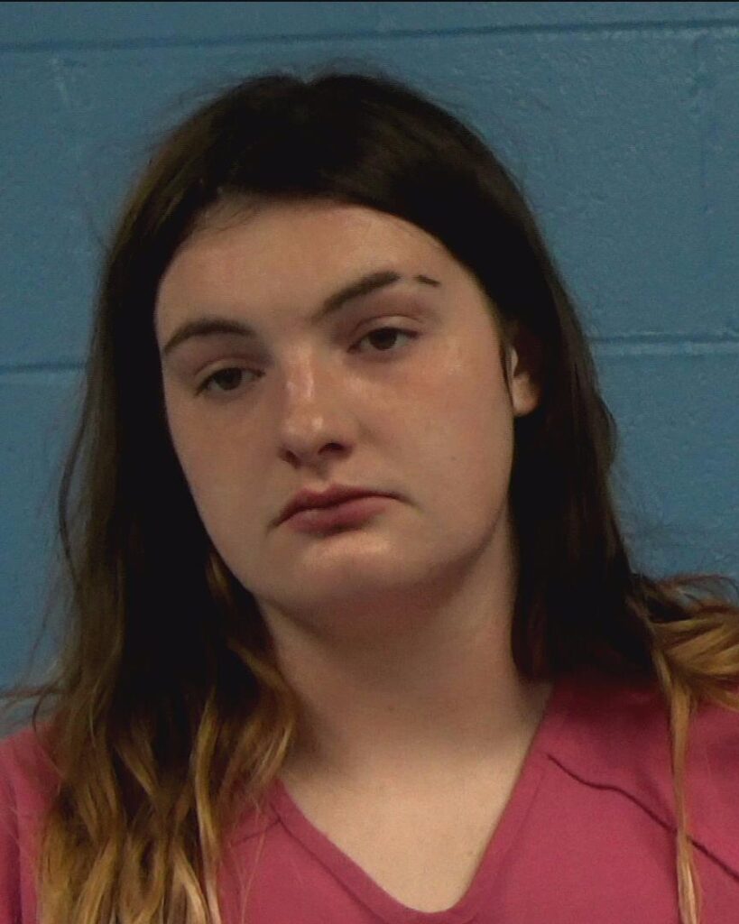 Williamson, Anna Elois arrested in Williamson County, Texas mugshot