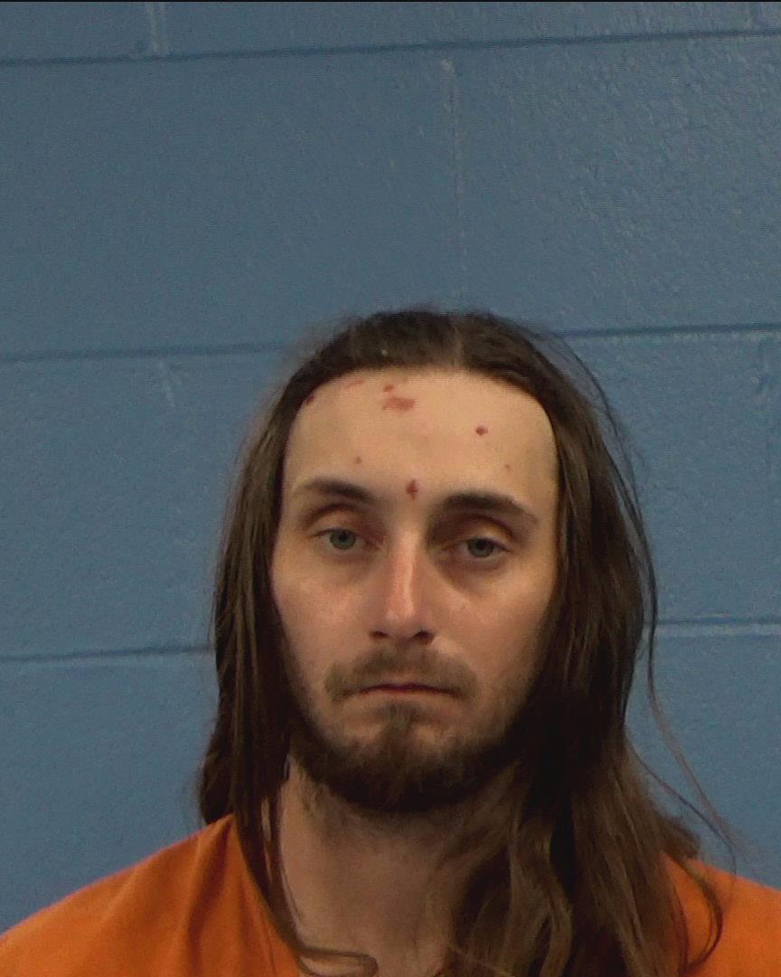 James, Weston Dale arrested by Williamson County PD/SO