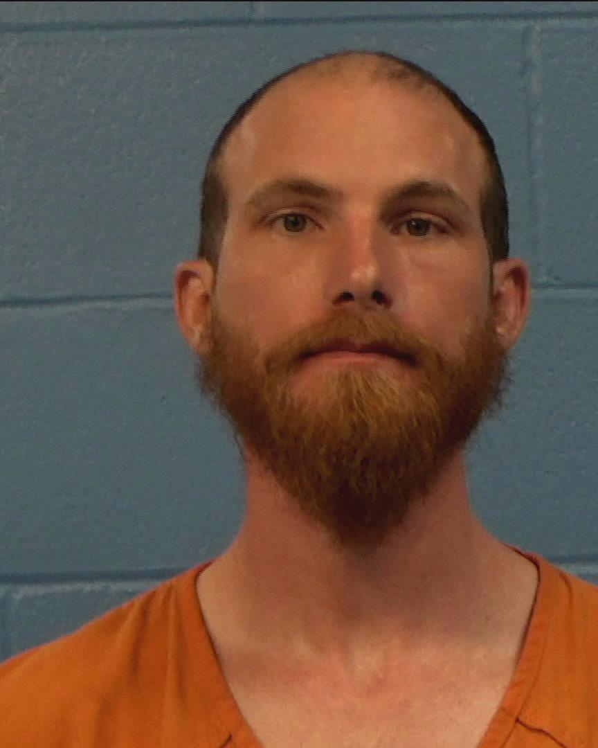 Thies, Merle Dwayne arrested by Williamson County PD/SO