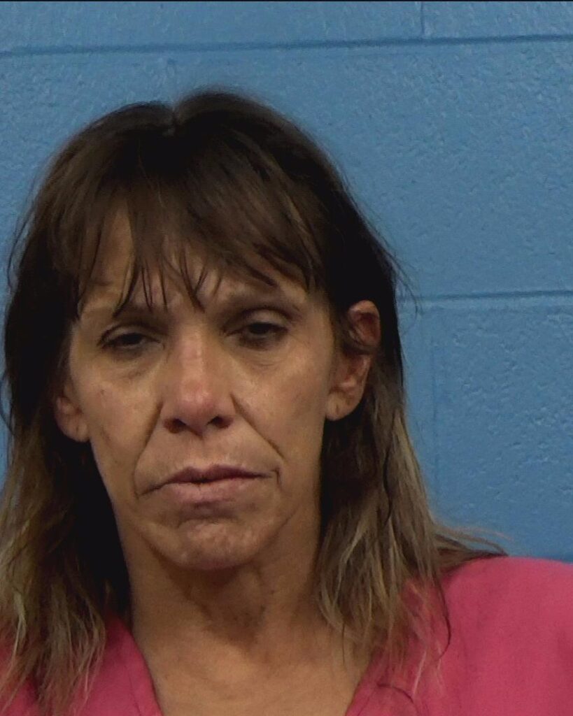 Parham, Penny Michele arrested in Williamson County, Texas mugshot