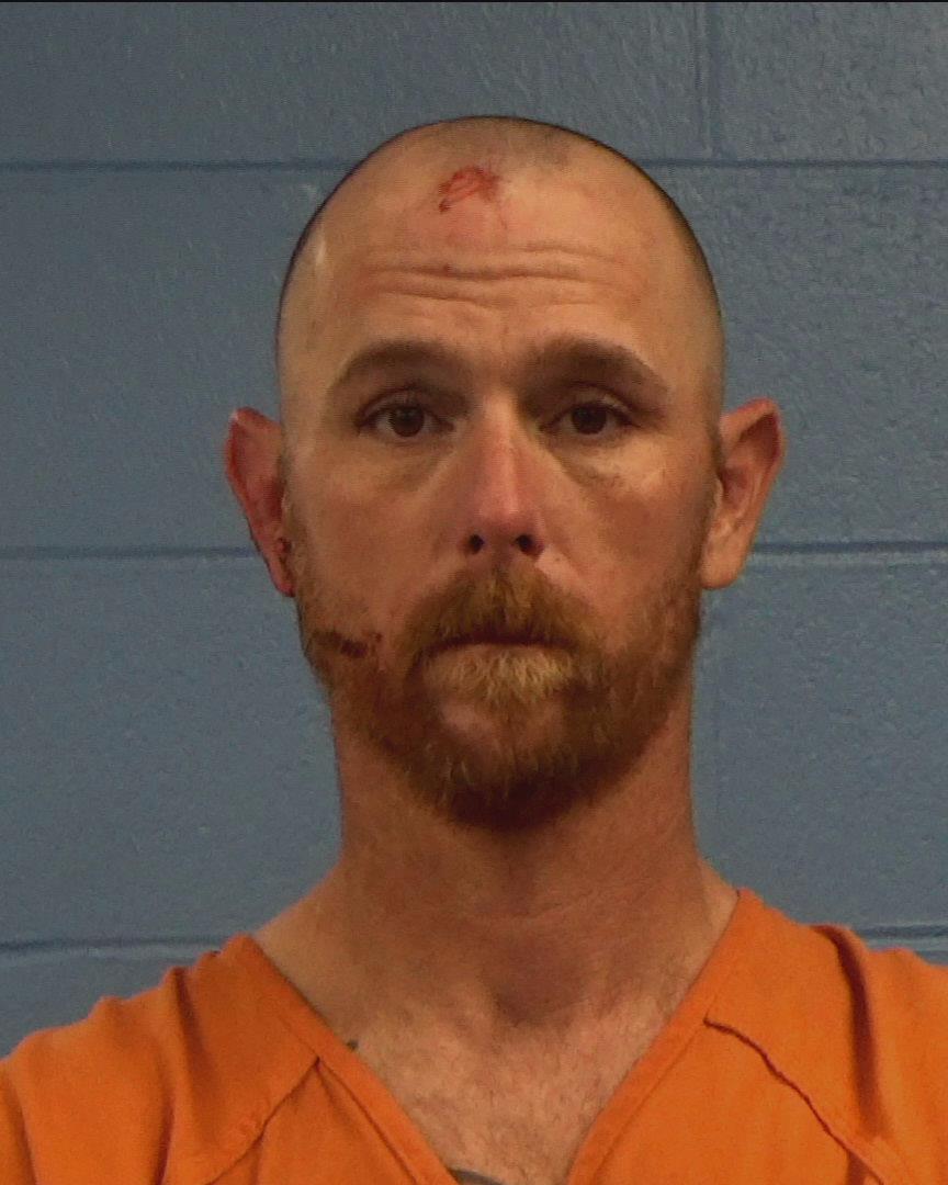 Lively, Steven Paul booking photo