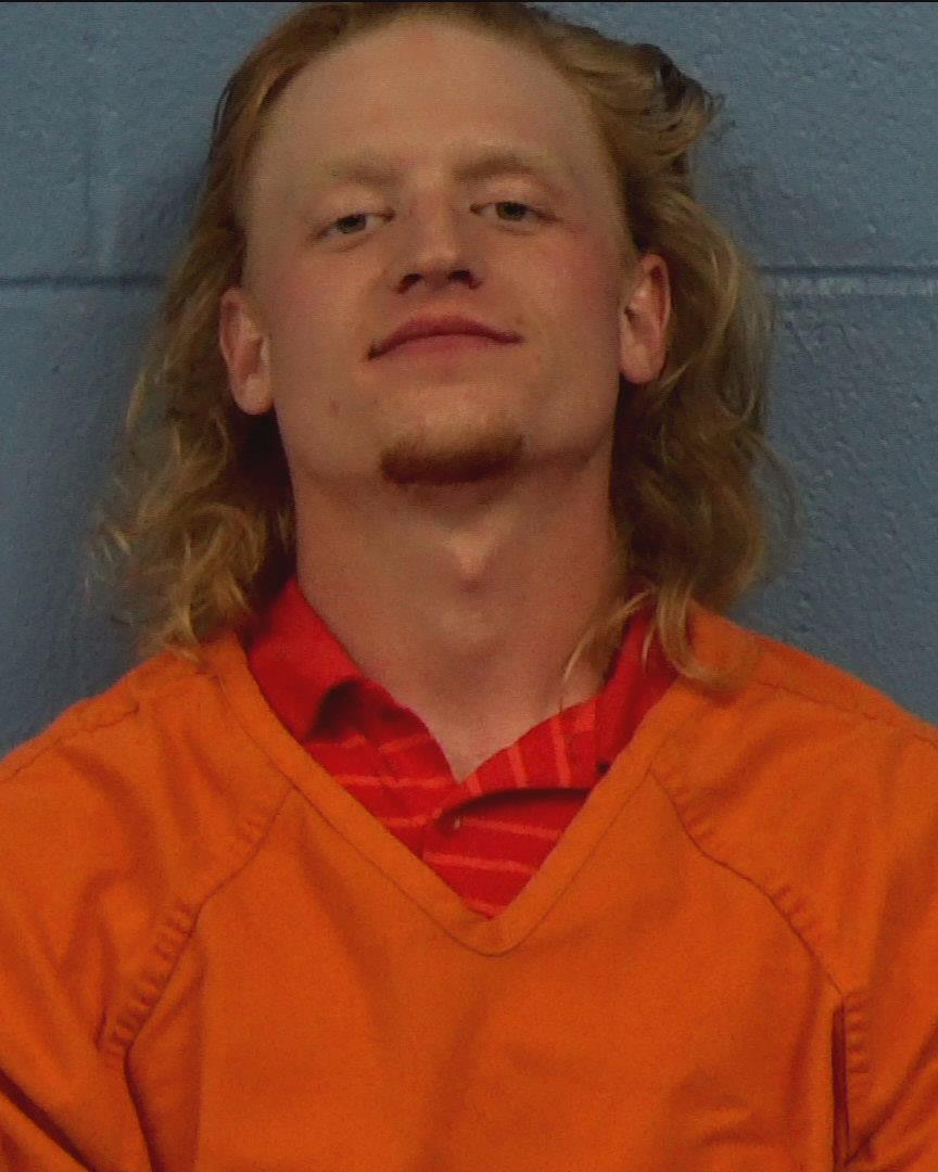 Schaub, Kenneth arrested by Williamson County PD/SO