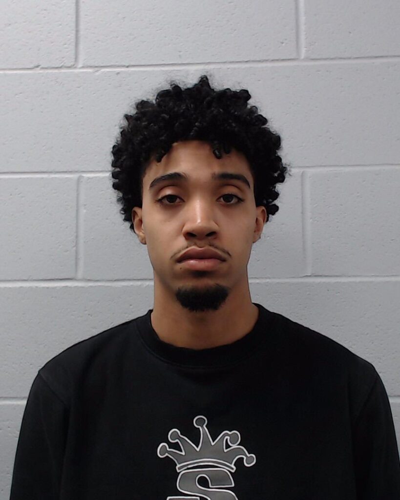 Brown, Gabriel Nathaniel arrest record in Hays County, Texas Brown, Gabriel Nathaniel arrested in Hays County, Texas mugshot