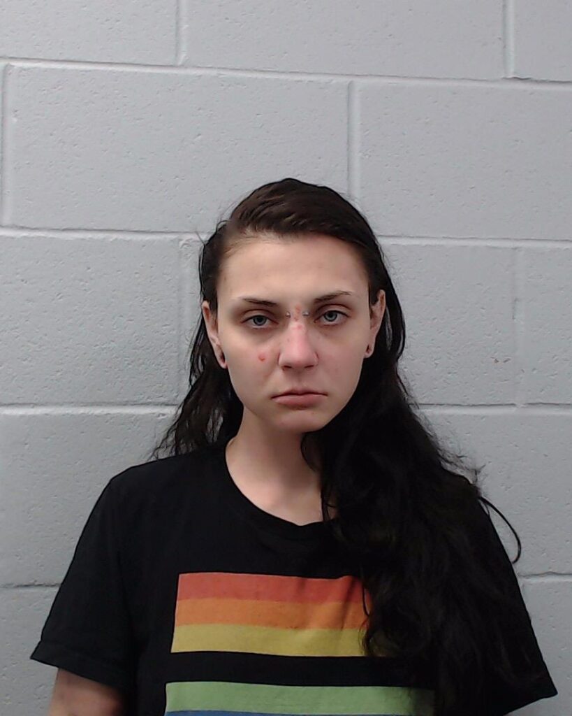 Noell, Sarah Louvain arrest record in Hays County, Texas Noell, Sarah Louvain arrested in Hays County, Texas mugshot