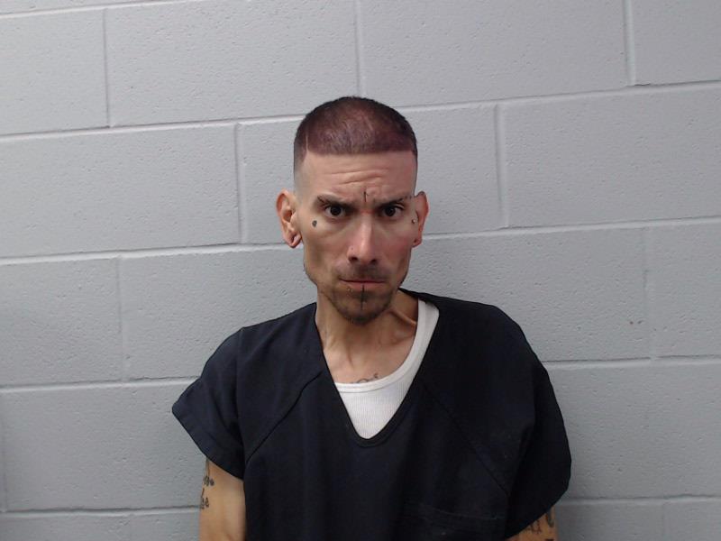 Terry, Ashton Lee booking photo