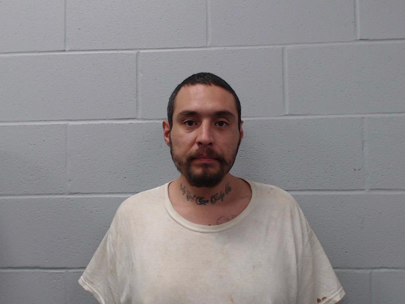 McReynolds, Aric Elvis booking photo