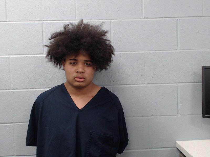 Brandon, Christopher booking photo