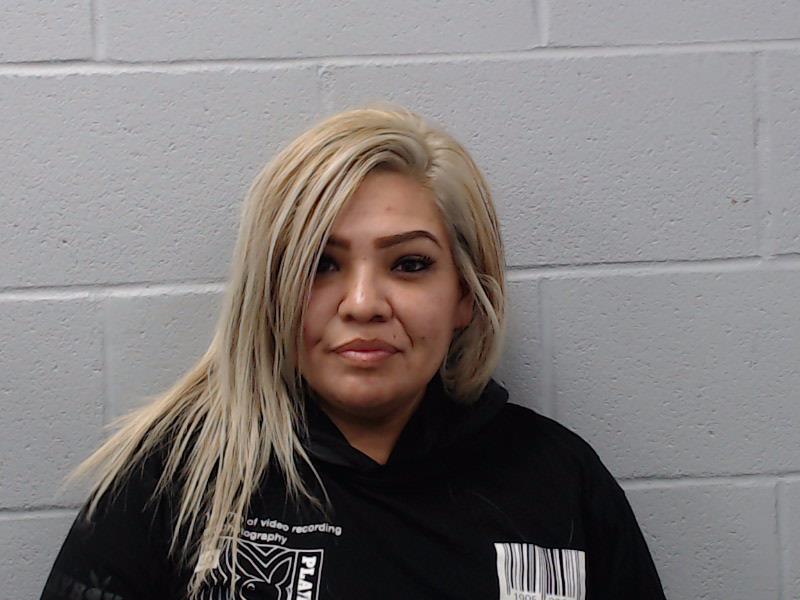 Vasquez, Denise Ann booking photo