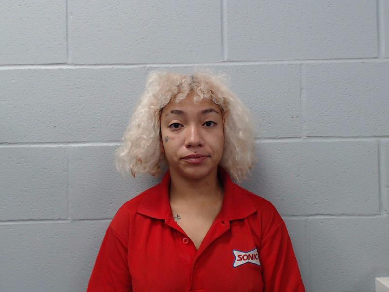 Salerno, Monica booking photo