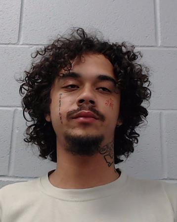 Robinson, Reginald Leon booking photo