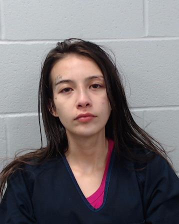 Aaron, Lyndsey Nicole booking photo