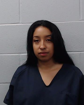 Alba, Ariana booking photo