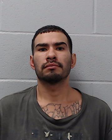 Vega, Gabriel Lee booking photo