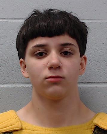 Myers, Alison Grace booking photo