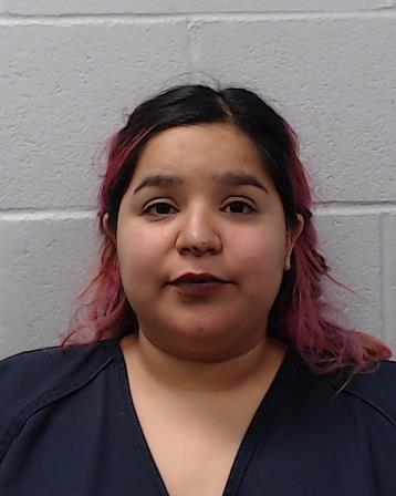Pineda, Paula MIchelle booking photo