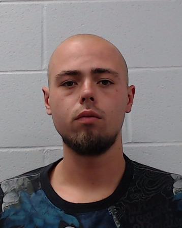 Romeijn Holland, Skye Stryder booking photo