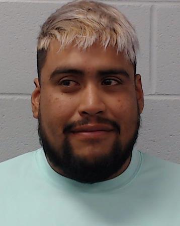 Ramirez, Omar Patrico booking photo