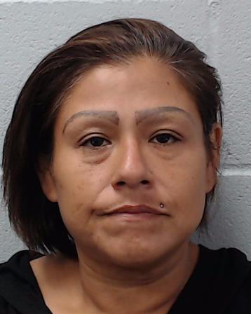 Ramirez, Janice Deleon booking photo