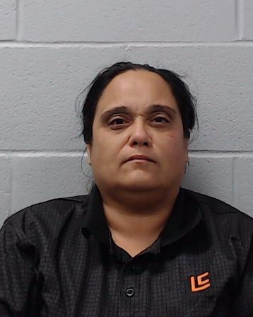 Hill, Rebecca Michelle arrested by Hays County SO/PD