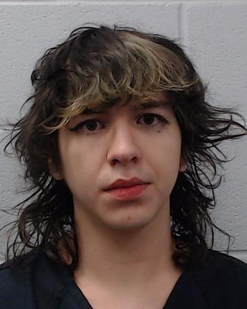 Contreras, Eric Javier booking photo