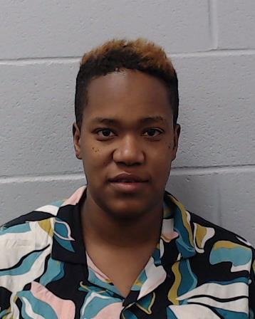 Araujo-Martinez, Yudaris booking photo