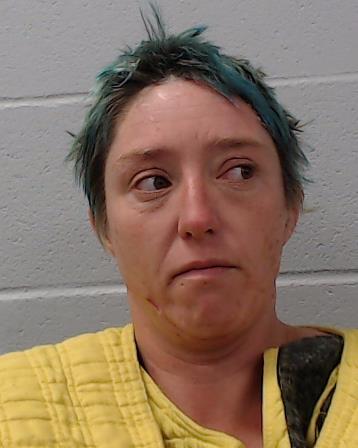 Scott, Alea Matteis booking photo