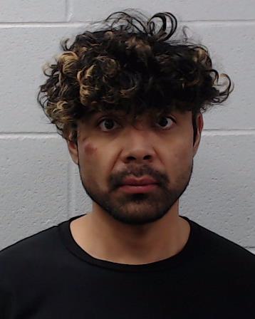 Guevara, Ricardo, Jr. booking photo