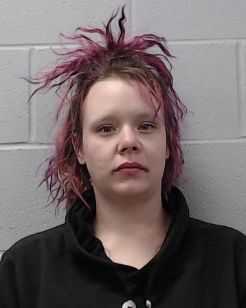 Hodgson, Stormy Brianne Teal booking photo