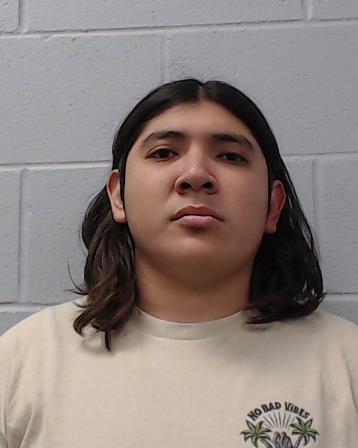 Trejo, Allan Erick booking photo