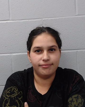 Hetzer, Angelica Christine booking photo