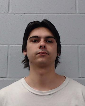 Springer, Cole Avery booking photo