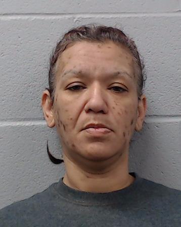 Ruiz-Alvarez, Erica Marie arrested by Hays County SO/PD