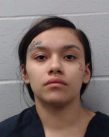 Roth, Penelope Ann booking photo