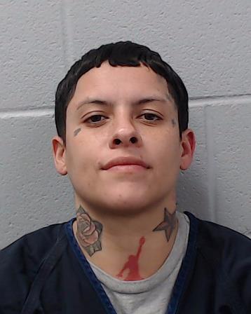 Martinez, Josefina arrested by Hays County SO/PD