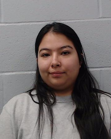 Hernandez, Lorena Renee booking photo